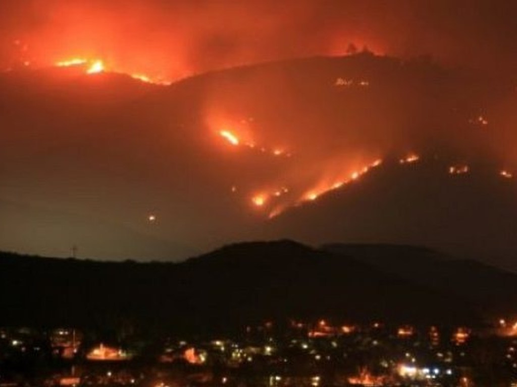 Пожары в Калифорнии: огонь уничтожил 20 конопляных плантаций (ФОТО)