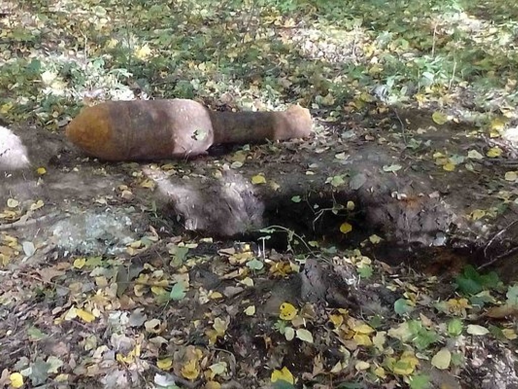 На Киевщине уничтожили турбореактивную мину, которую нашли благодаря собаке (ФОТО)