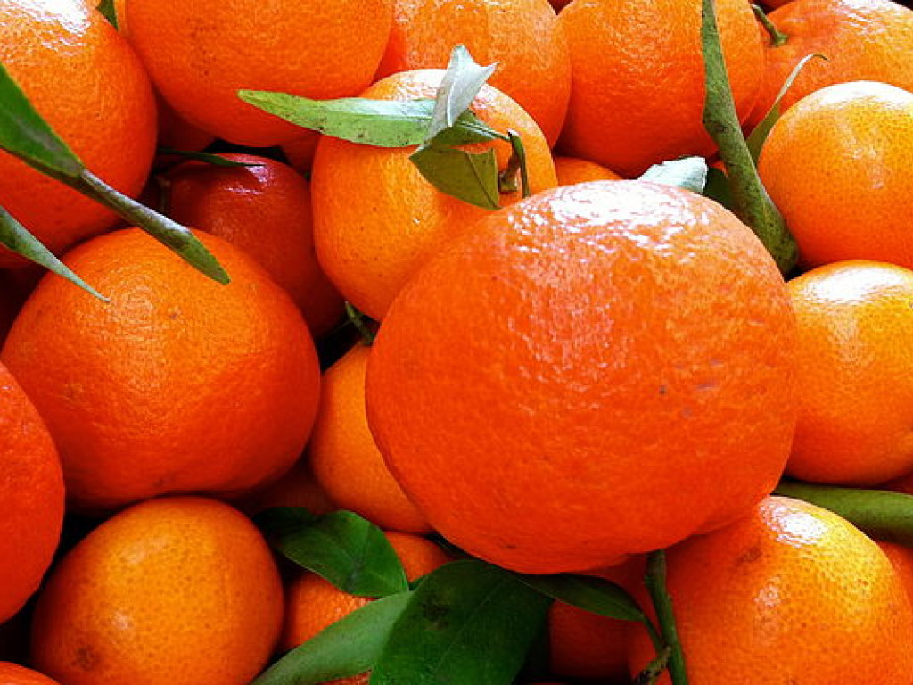 Три сезона были сложными для компаний, завозящих экзотические фрукты в Украину &#8212; эксперты
