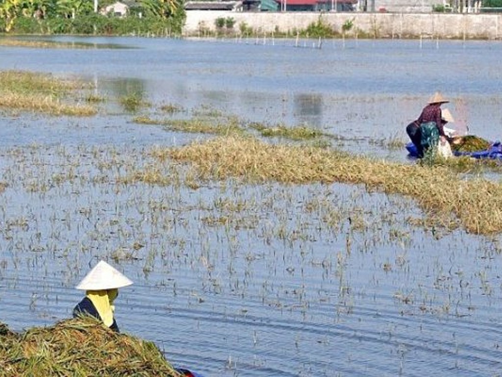 Жертвами наводнений и оползней во Вьетнаме стали 75 человек
