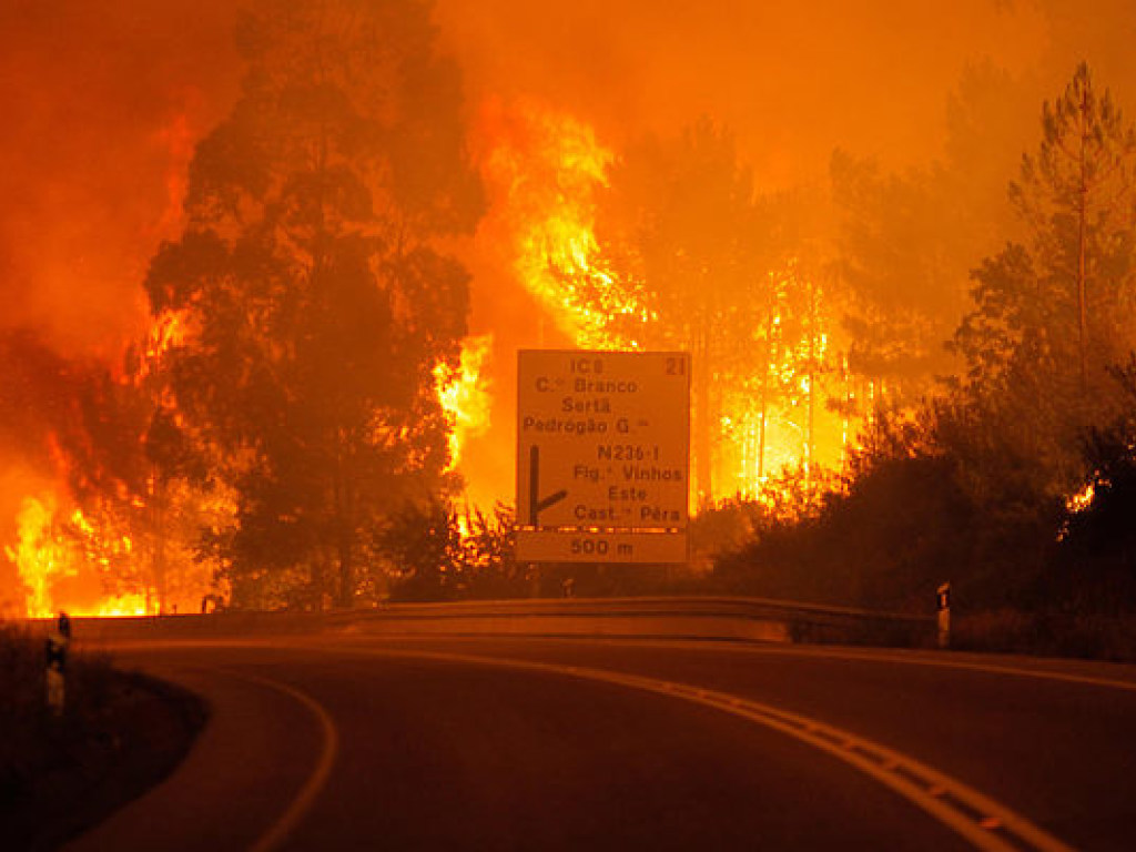 Пожары в Португалии и Испании: количество погибших увеличилось до 39