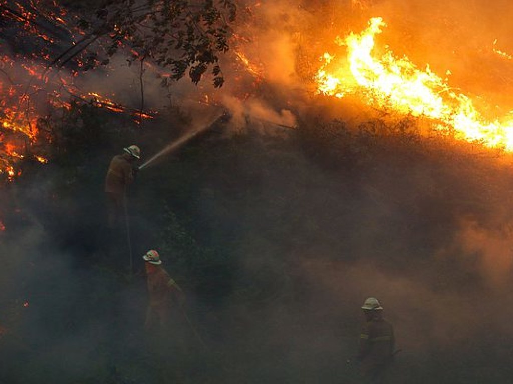 Министр внутренних дел ушел в отставку в Португалии из-за пожаров