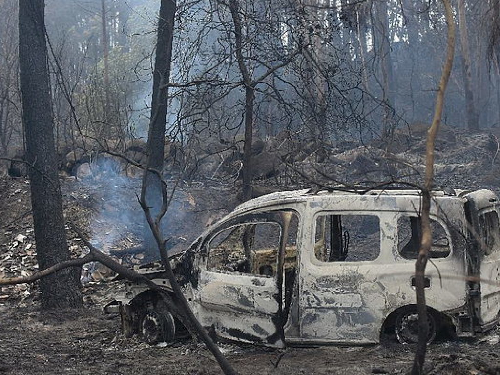 Число жертв лесных пожаров в Испании и Португалии увеличилось до 45 (ФОТО)