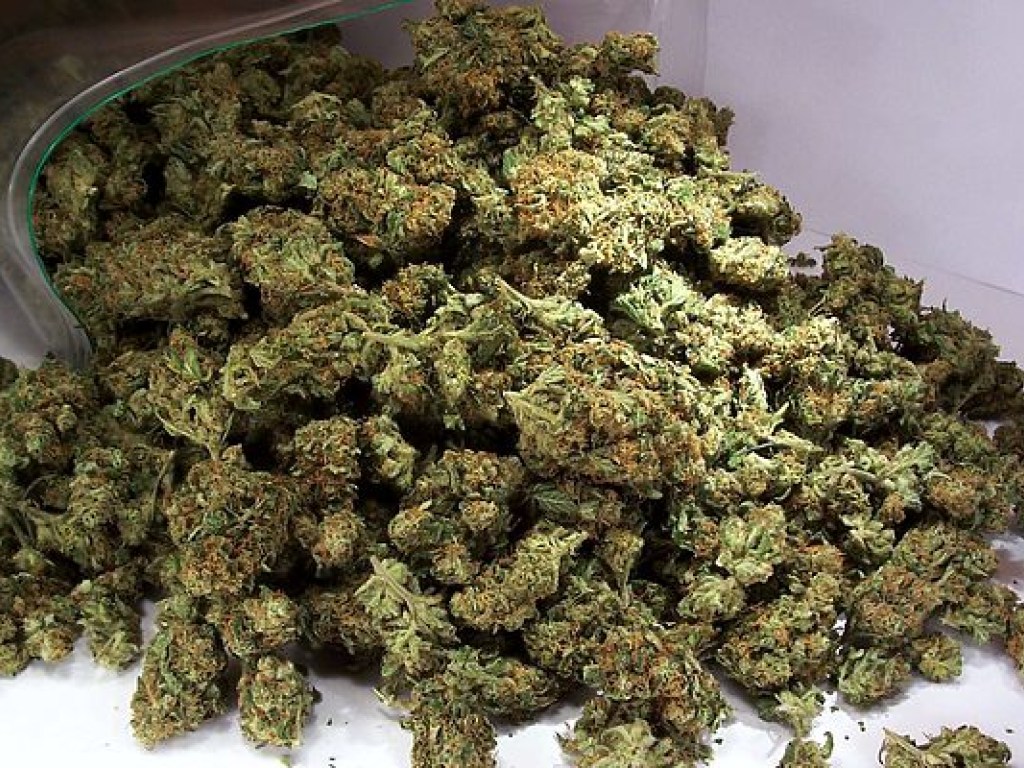 В Сумской области изъяли марихуаны на 400 тысяч гривен (ФОТО)