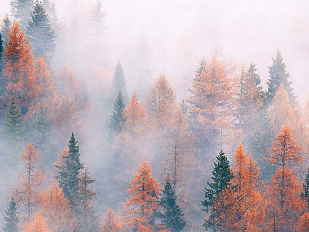 Погода на 20 октября: Над Украиной сгустится туман, температура до +20 градусов