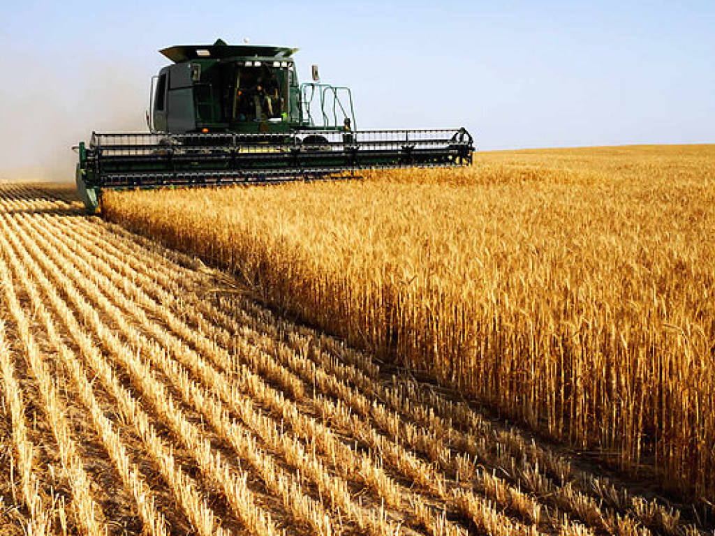 Дотации в сельское хозяйство Украины не работают – экономист