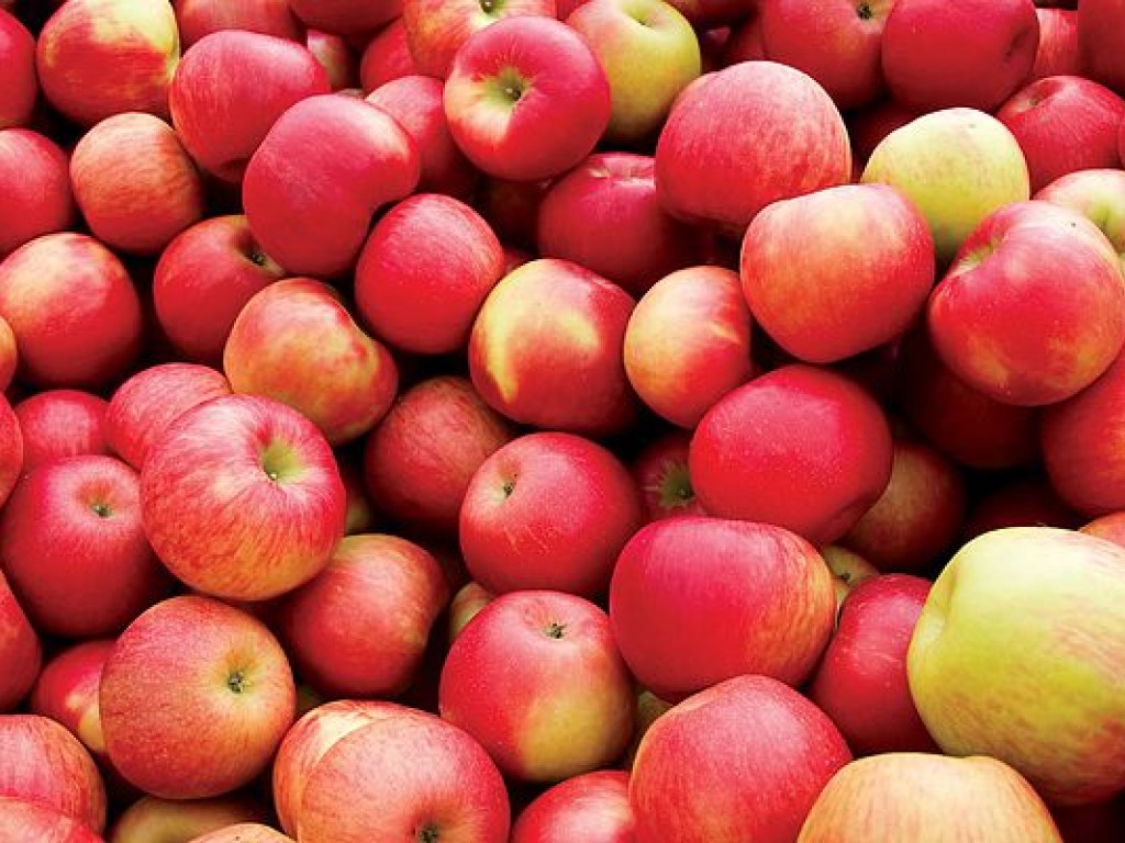 Врач: Свежесть и витаминную ценность яблок можно определить по запаху