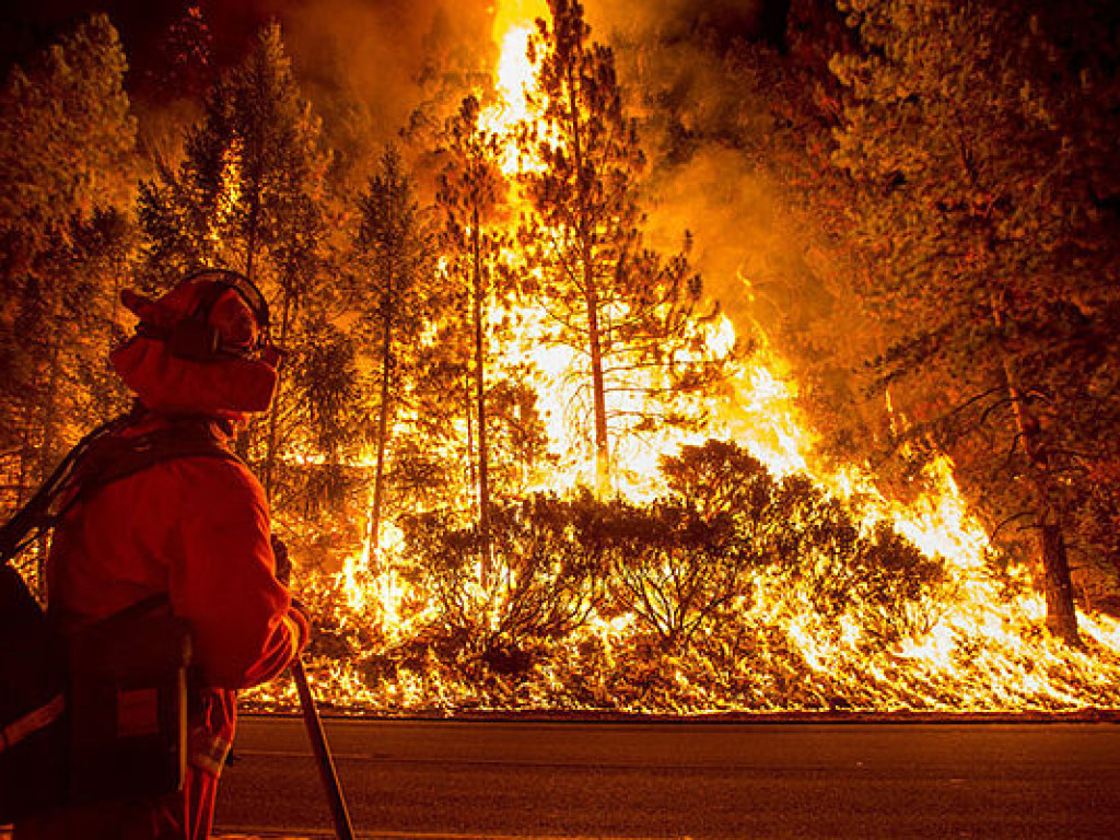 Пожары в Калифорнии: ущерб от разрушений превысил 1 миллиард долларов