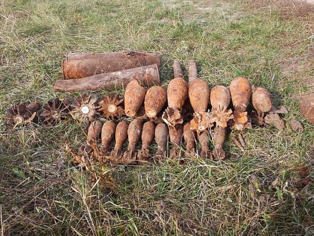 В селе на Киевщине пиротехники обезвредили 23 боеприпаса времен войны