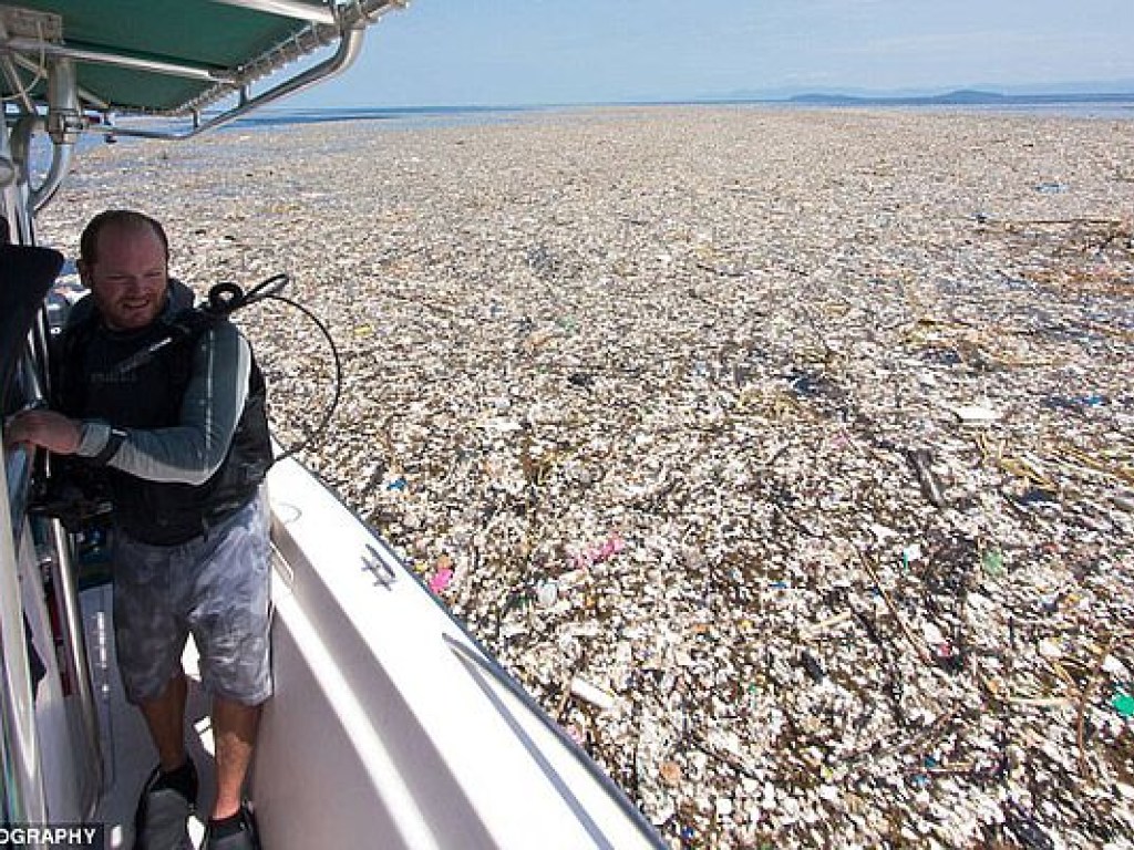 В Сети опубликовали шокирующие фото пластикового мусора в океанах (ФОТО)