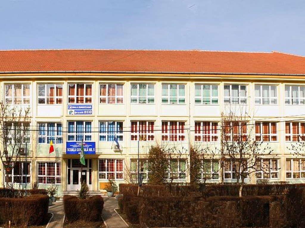 17 румынских школьников отравились антифризом