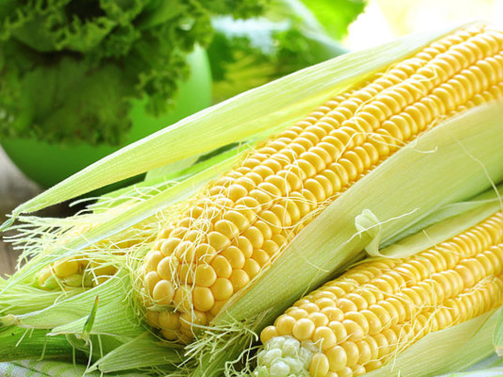Крупные агрохолдинги в Украине кукурузой и подсолнечником «убивают» плодородные грунты – эксперт