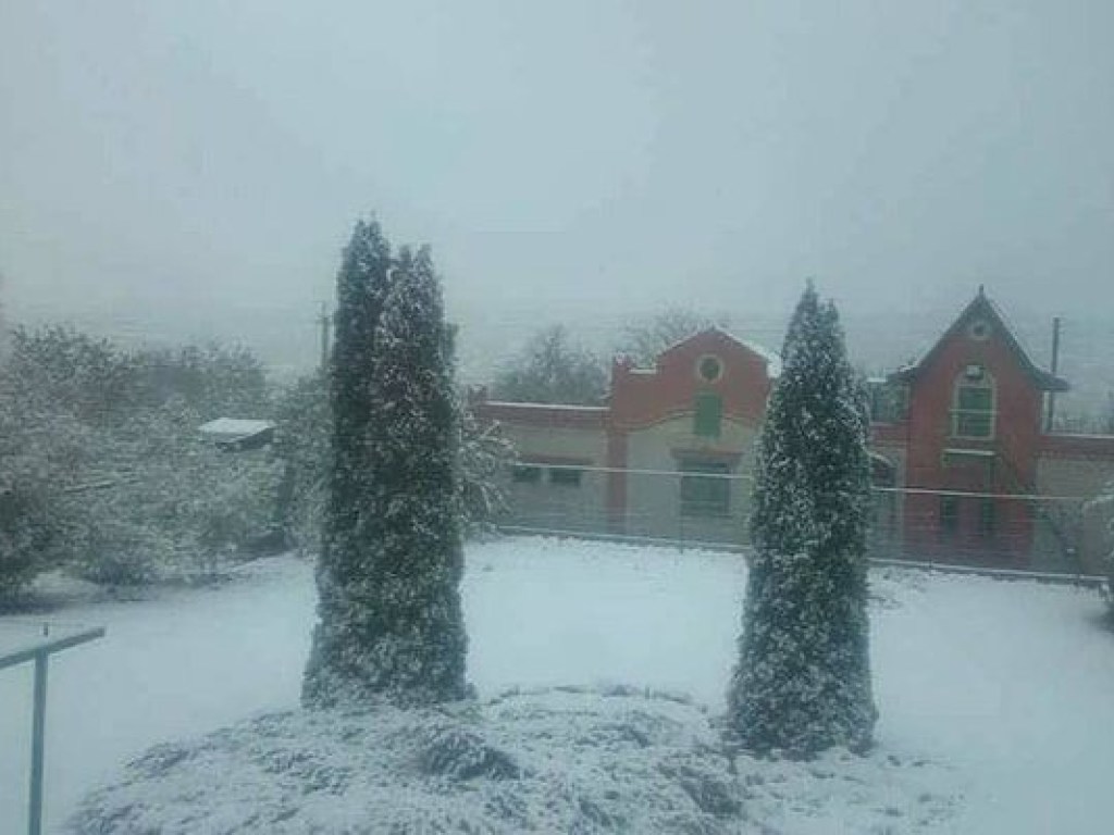 На Харьковщине пошел первый снег (ФОТО, ВИДЕО)