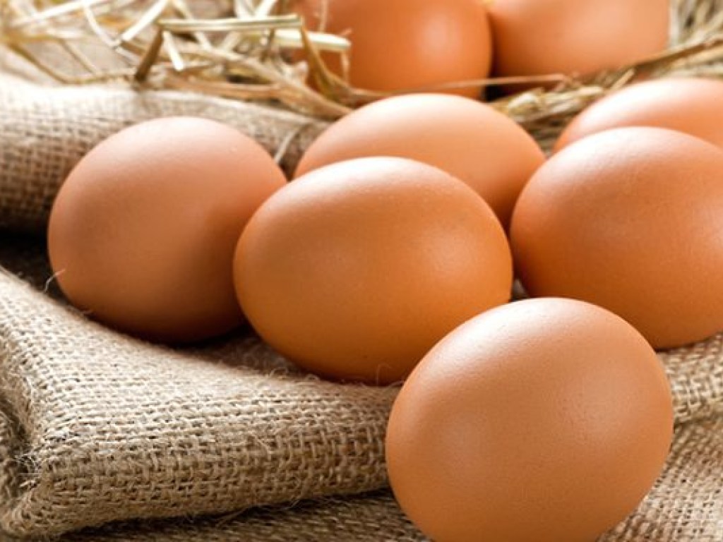Из-за угрозы птичьего гриппа, в Польше надеются на завоз яиц из Украины