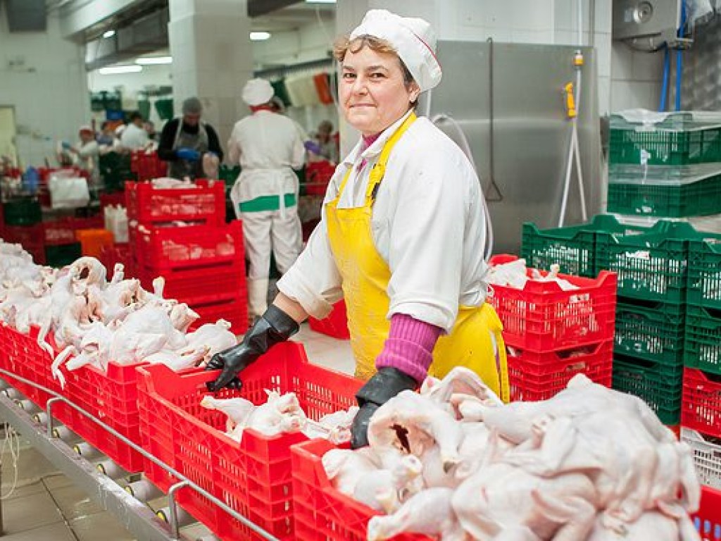 Крупнейший украинский производитель курятины переехал на Кипр