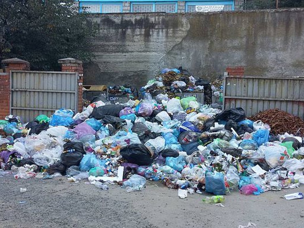 Во Львове нет мощностей для переработки мусора, отсортированные отходы вывозят на свалки области – эколог