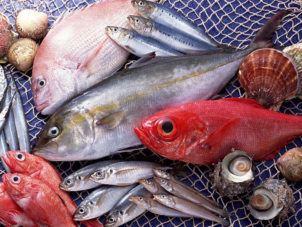 Диетолог: Рыбные и растительные продукты  обеспечивают нормальную работу нервных клеток