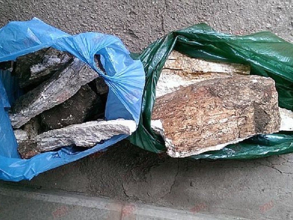 В центре Бердянска строители нашли кости мамонта (ФОТО, ВИДЕО)