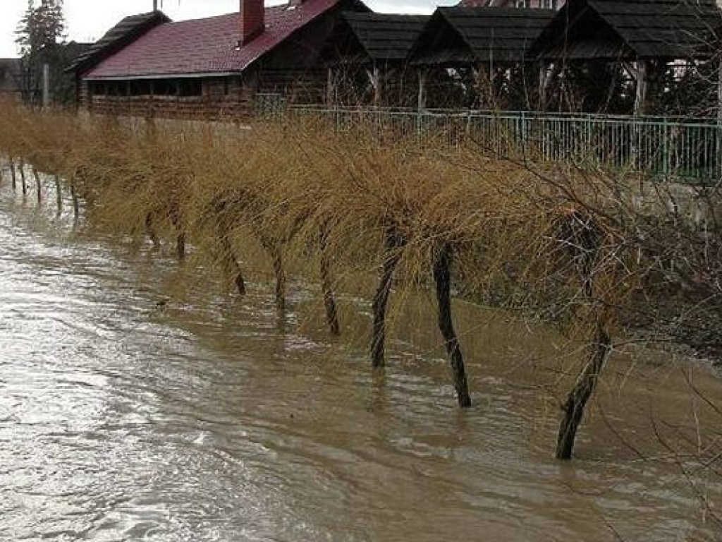 Синоптики предупредили о повышении уровня воды в реках Украины