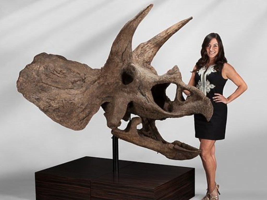 В США на аукционе продадут скелеты динозавров (ФОТО)