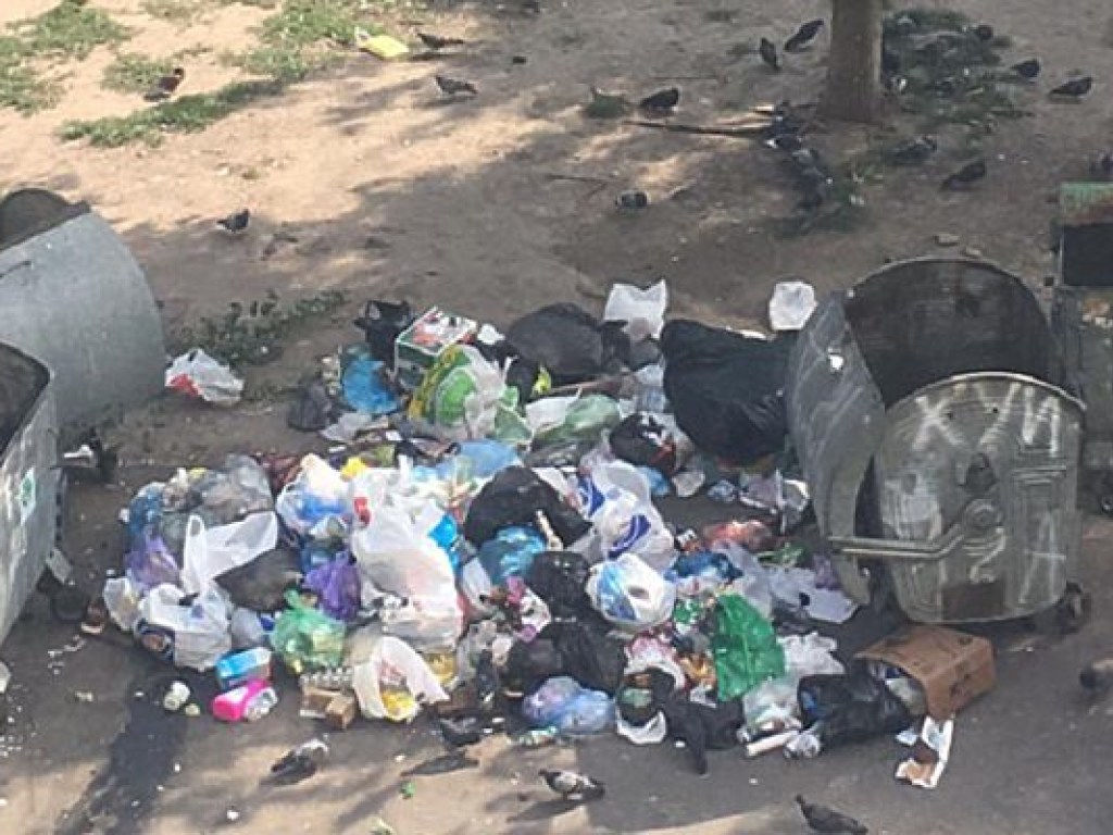 В киевском Голосеево образовалась настоящая мусорная свалка (ФОТО)