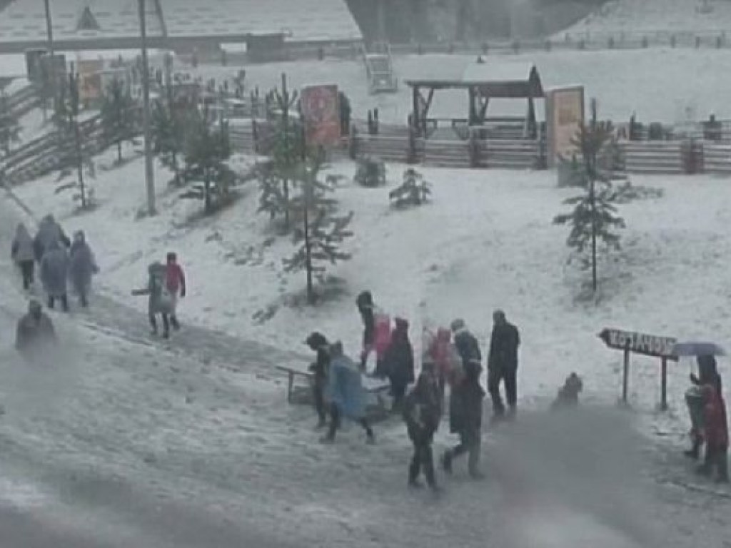 В сети появилось видео мощной снежной бури в Украине