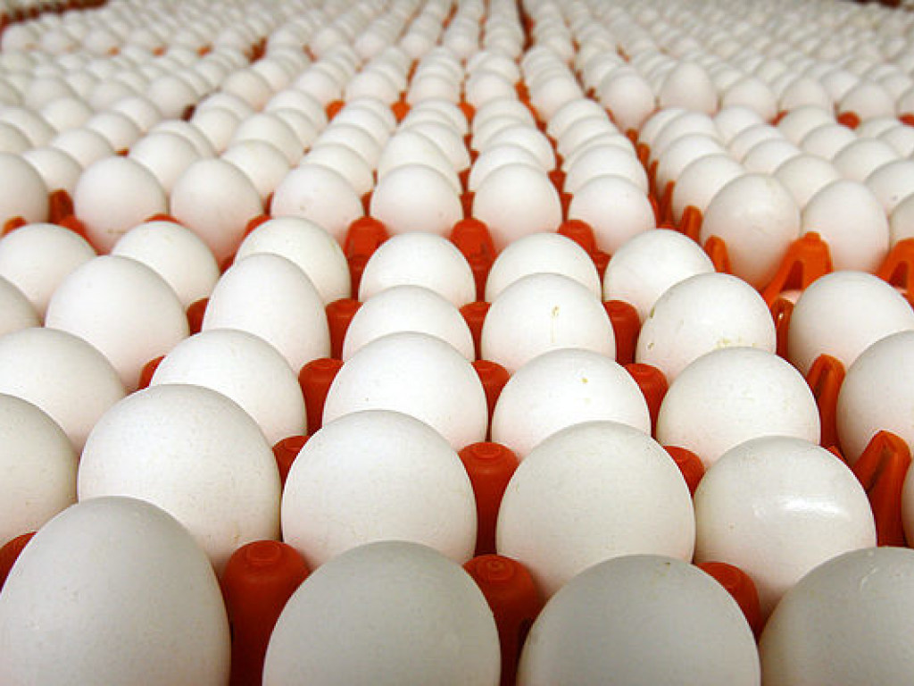 Яйца особенно полезны для детей &#8212; диетолог