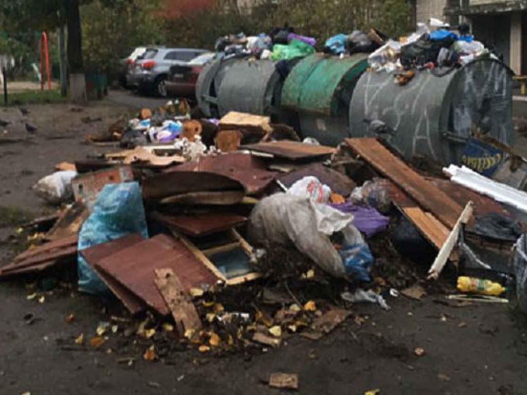 В Днепровском районе Киева появилась мусорная свалка (ФОТО)