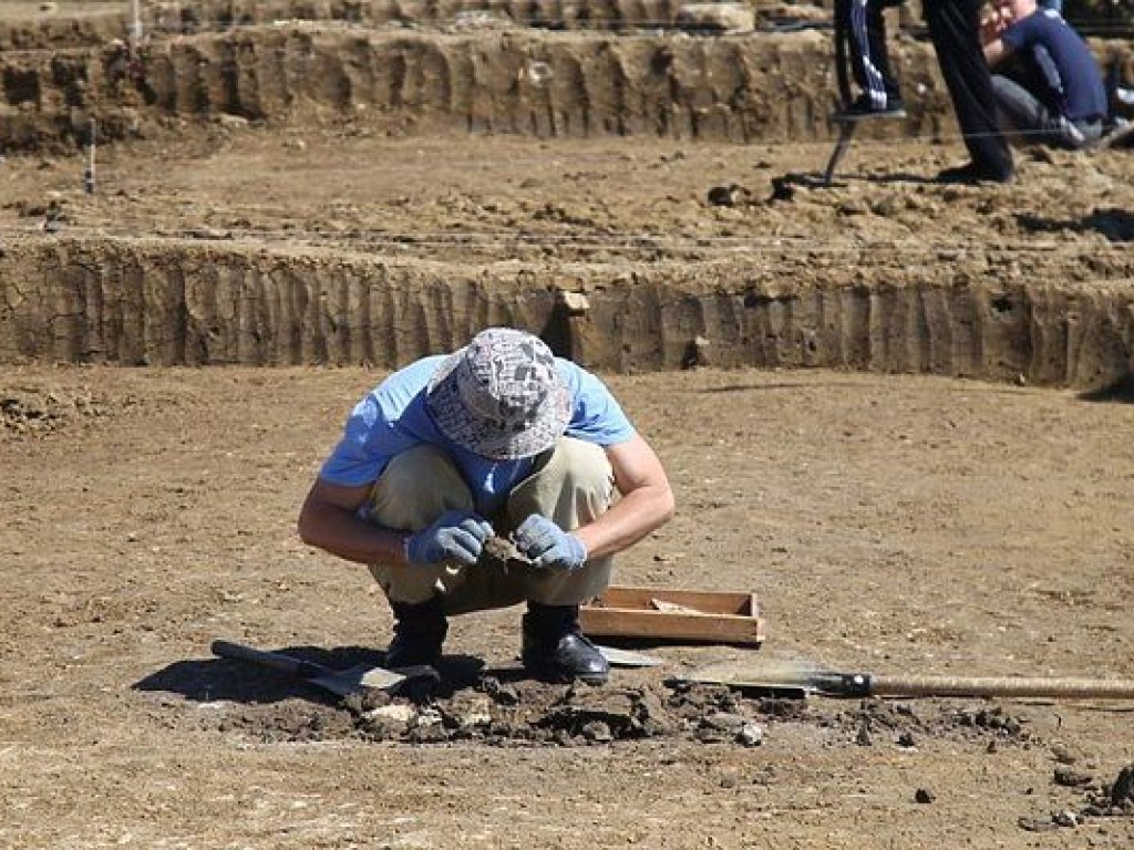 На Днепропетровщине археологи откопали древние статуи (ФОТО)