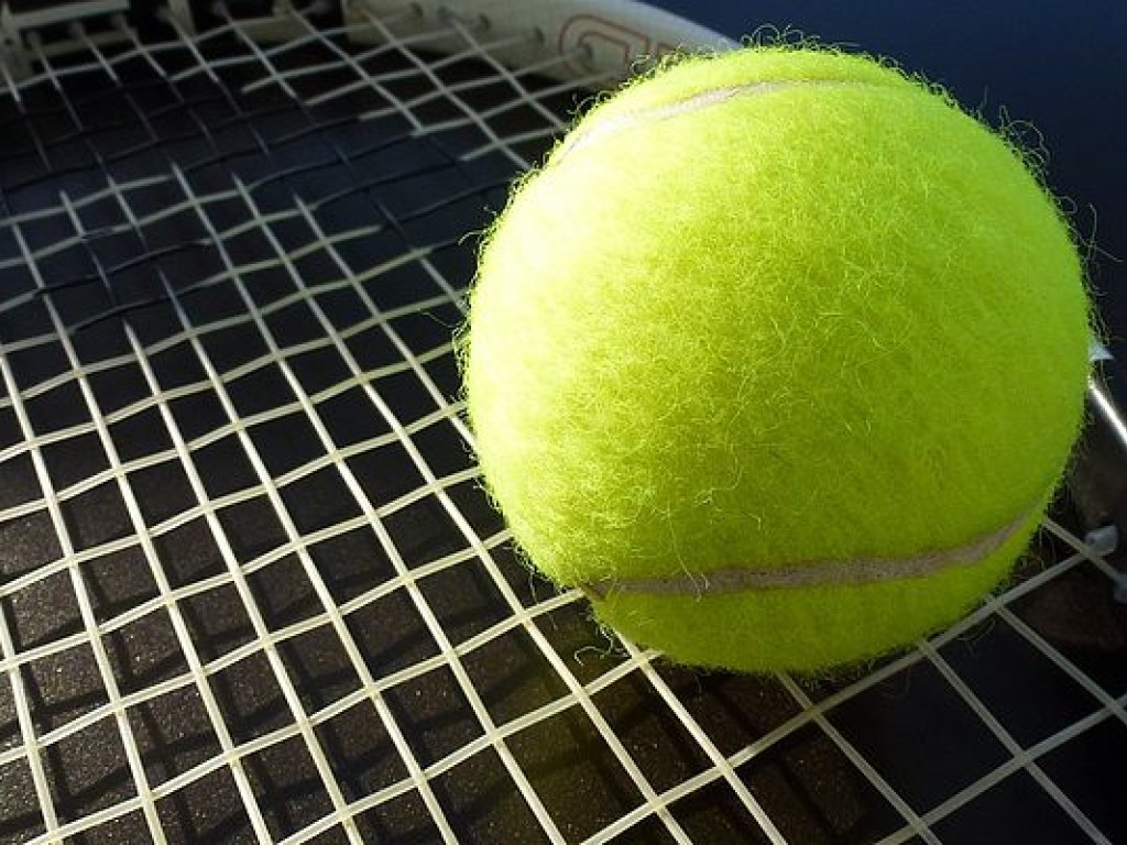 Свитолина вошла в десятку самых высокооплачиваемых теннисисток сезона в 2017 году