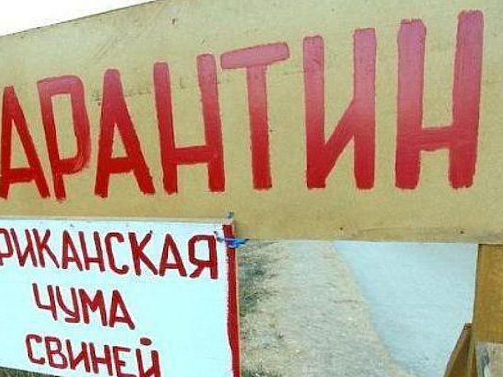 В одном из районов Киева запретили ярмарки: введен карантин из-за бешенства