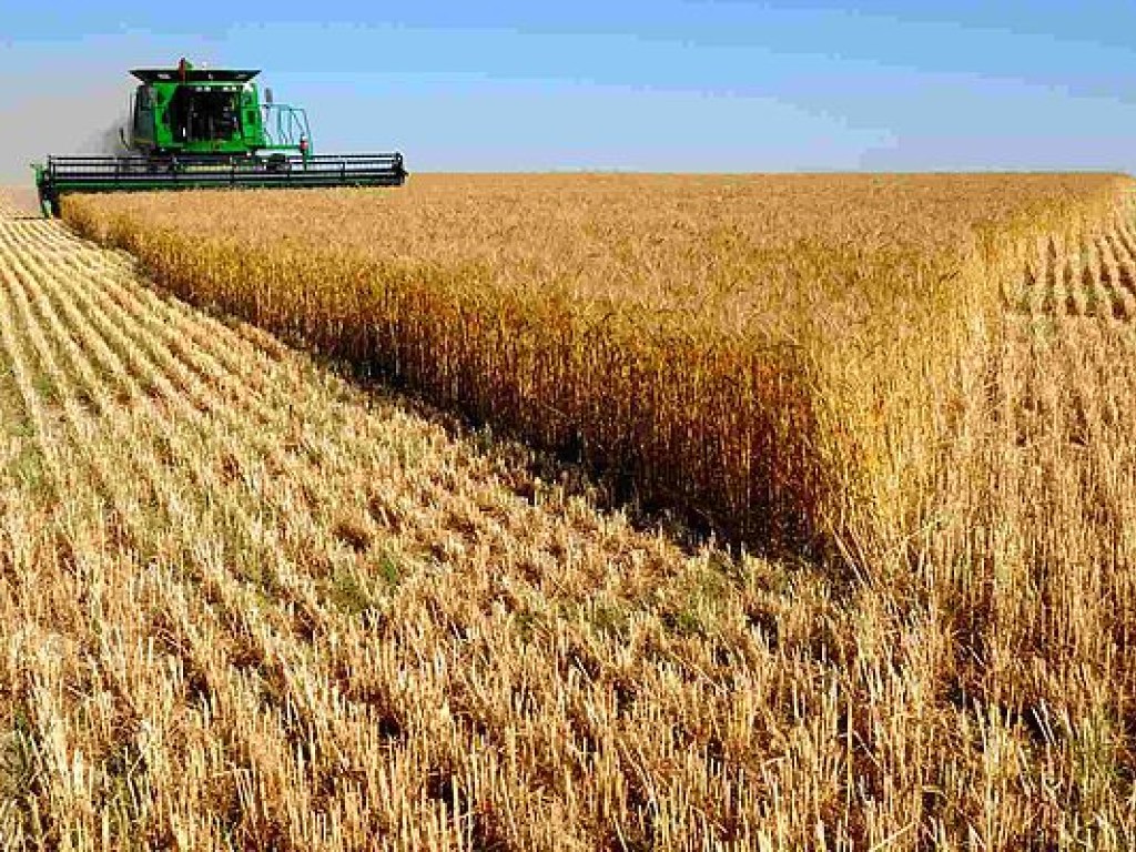 Украинские аграрии экспортировали более 14 миллионов тонн зерновых