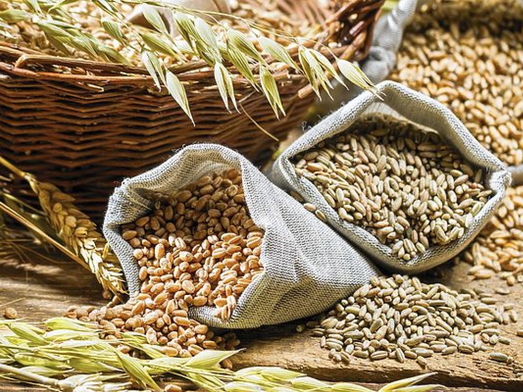 Аграрии собрали уже 55 миллионов тонн зерновых