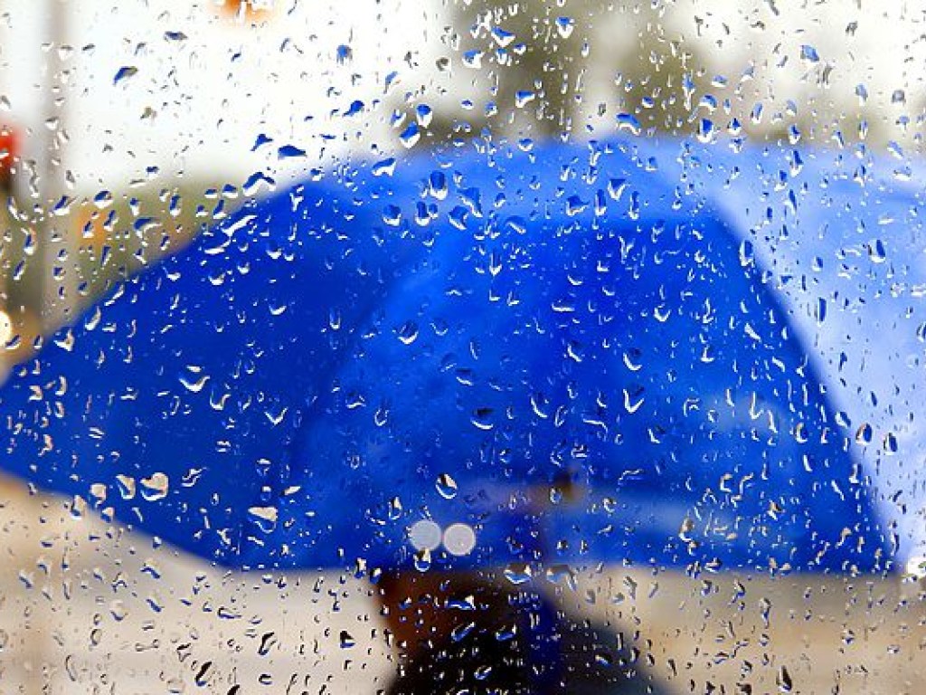 Прогноз погоды в Украине на 12 ноября: почти по всей Украине пройдут дожди