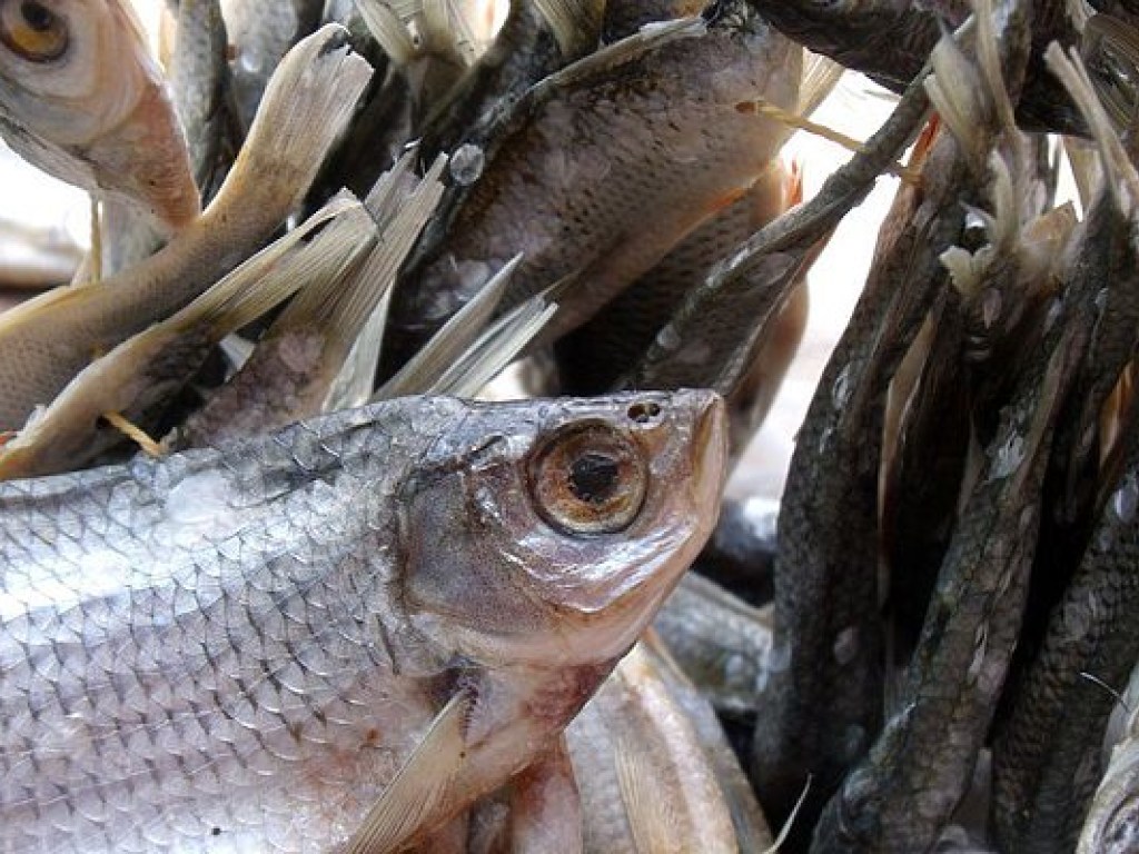 Во Львовской области еще три человека отравились вяленой рыбой