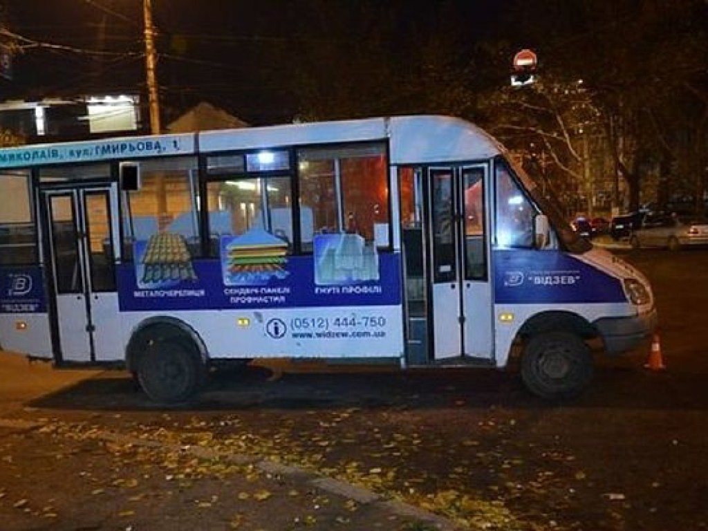 В центре Николаева маршрутка сбила пьяного пешехода (ФОТО)