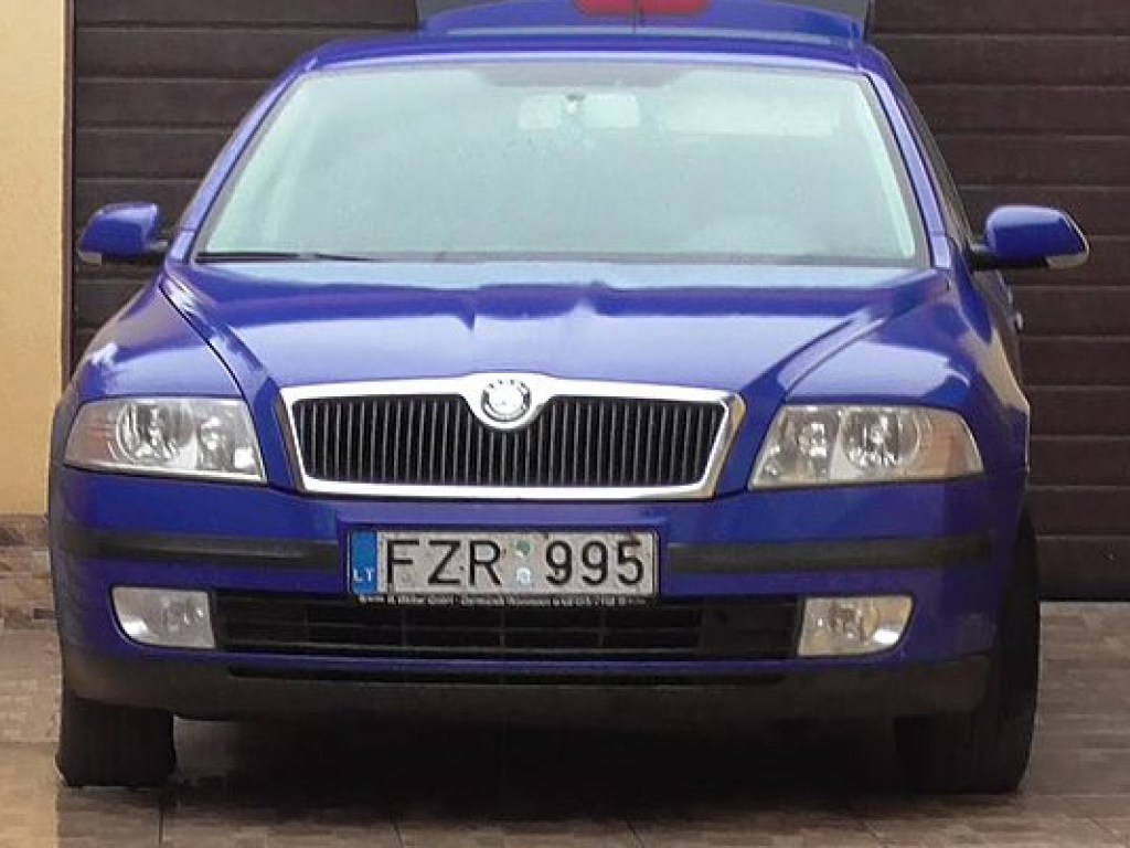 Белорусы за 20 долларов помогают ввозить в Украину авто на литовских номерах