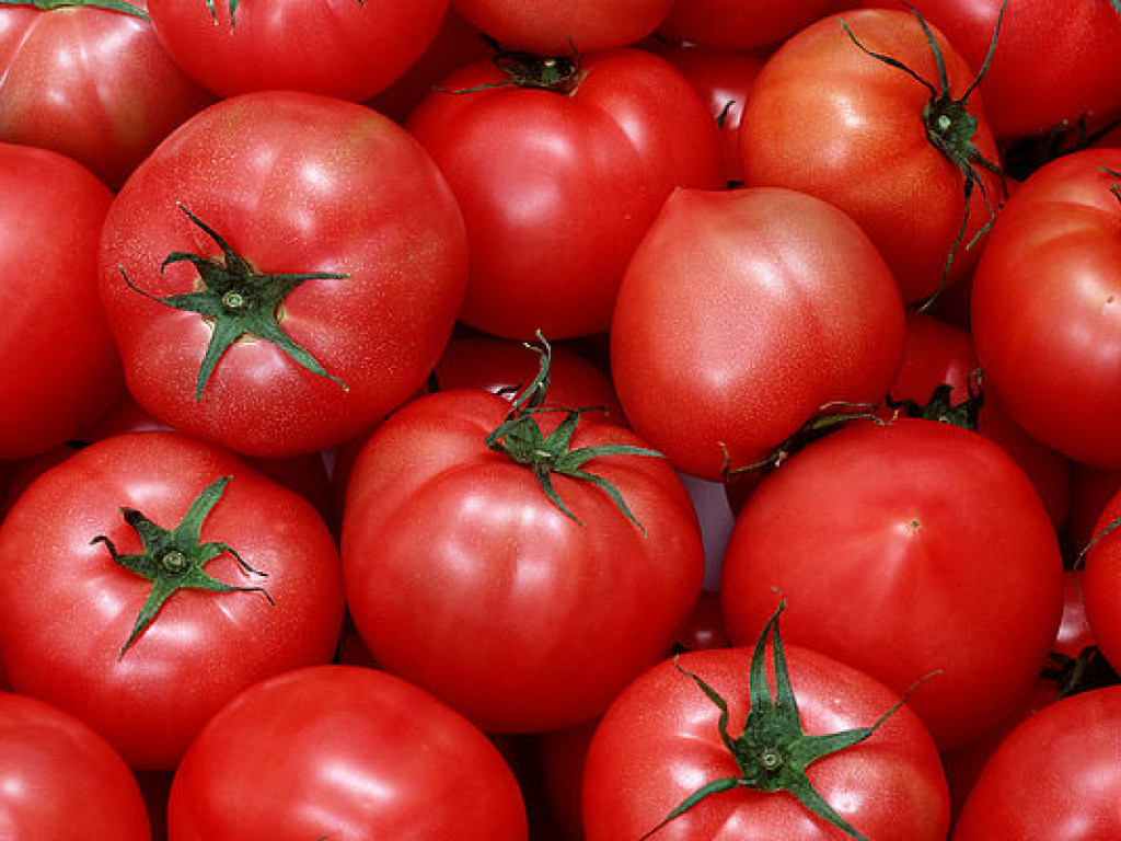 В Украине стоимость помидор вырастет до 40-45 гривен за килограмм – эксперт