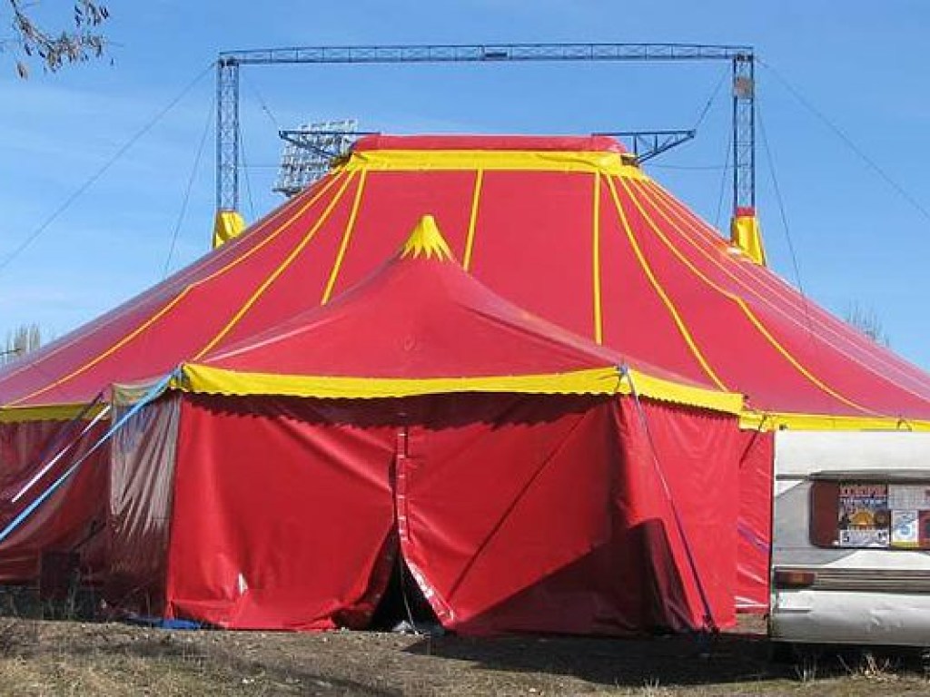 В Украине существует около 10 передвижных цирков-шапито – эколог