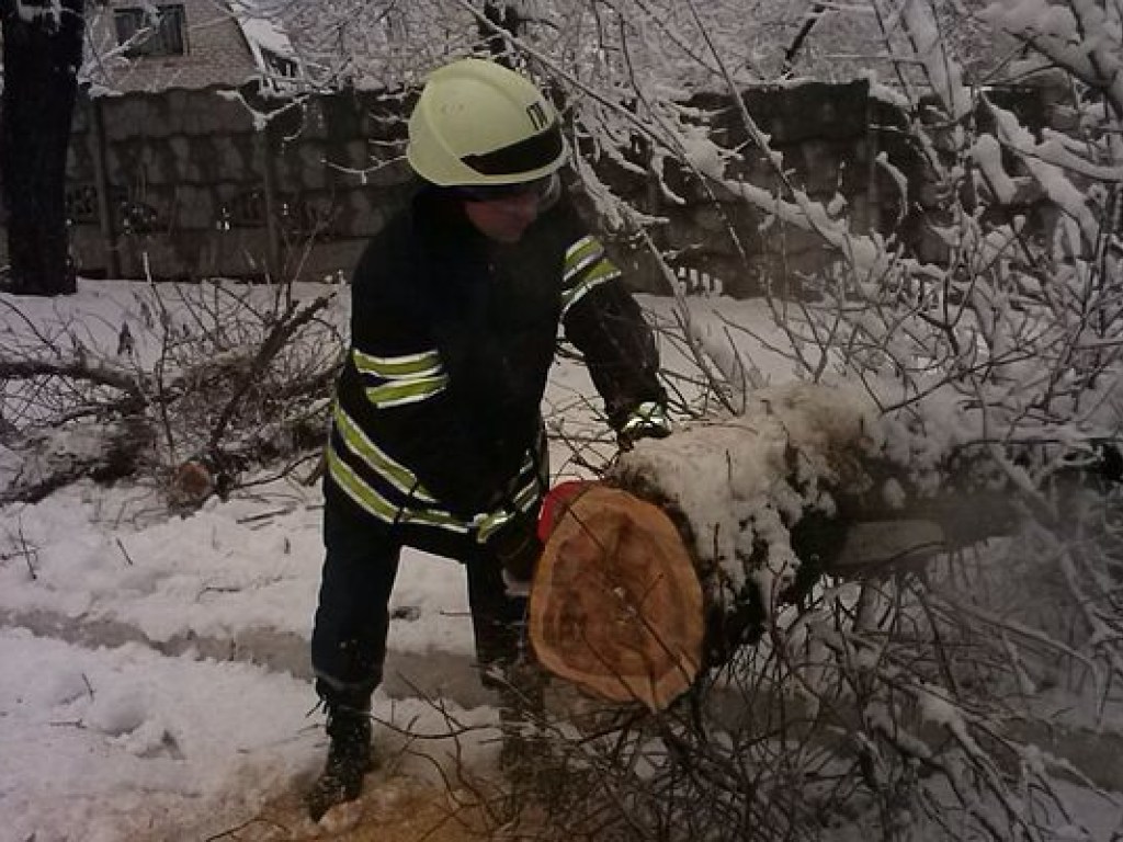 Луганскую область засыпало аномальным количеством снега (ФОТО)