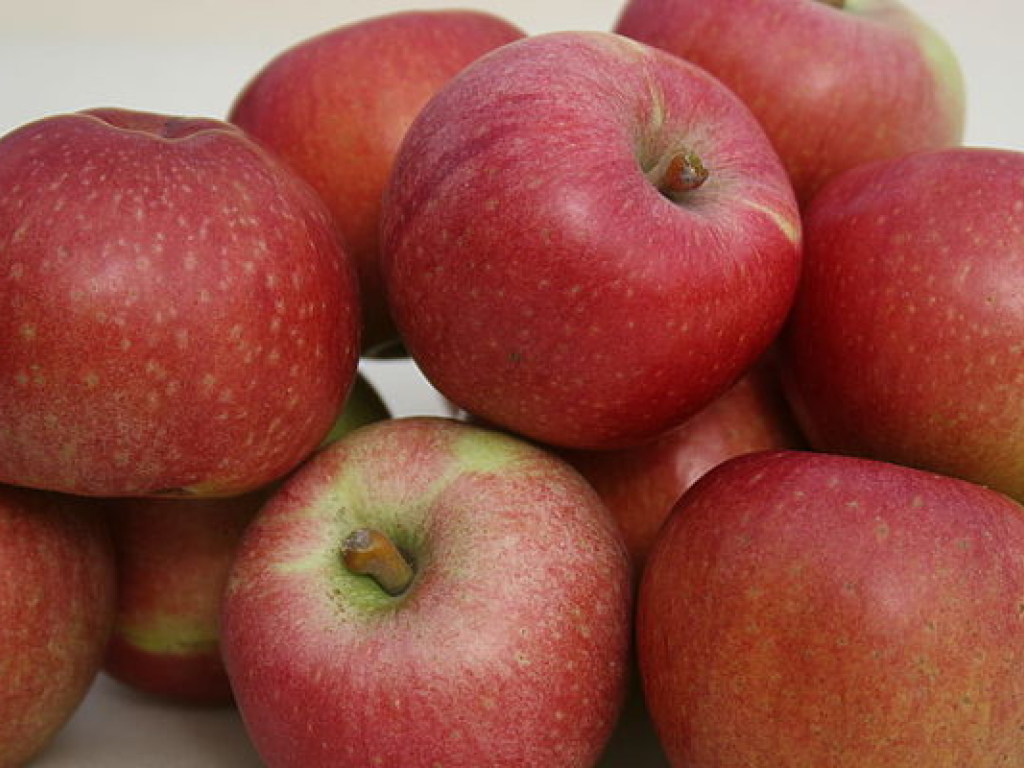 Зимние сорта яблок помогают организму согреваться в холода &#8212; врач