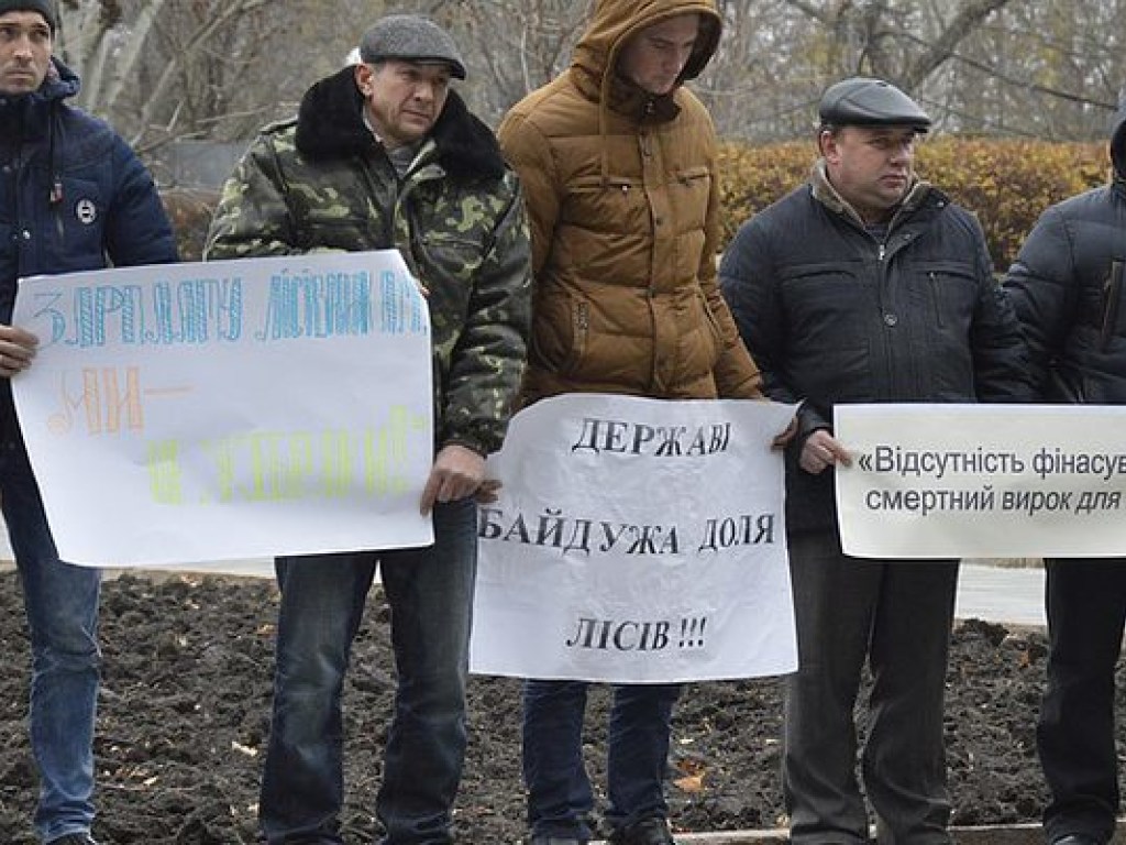 В Хмельницком и Николаеве лесники устроили акцию протеста против реформирования отрасли (ФОТО, ВИДЕО)