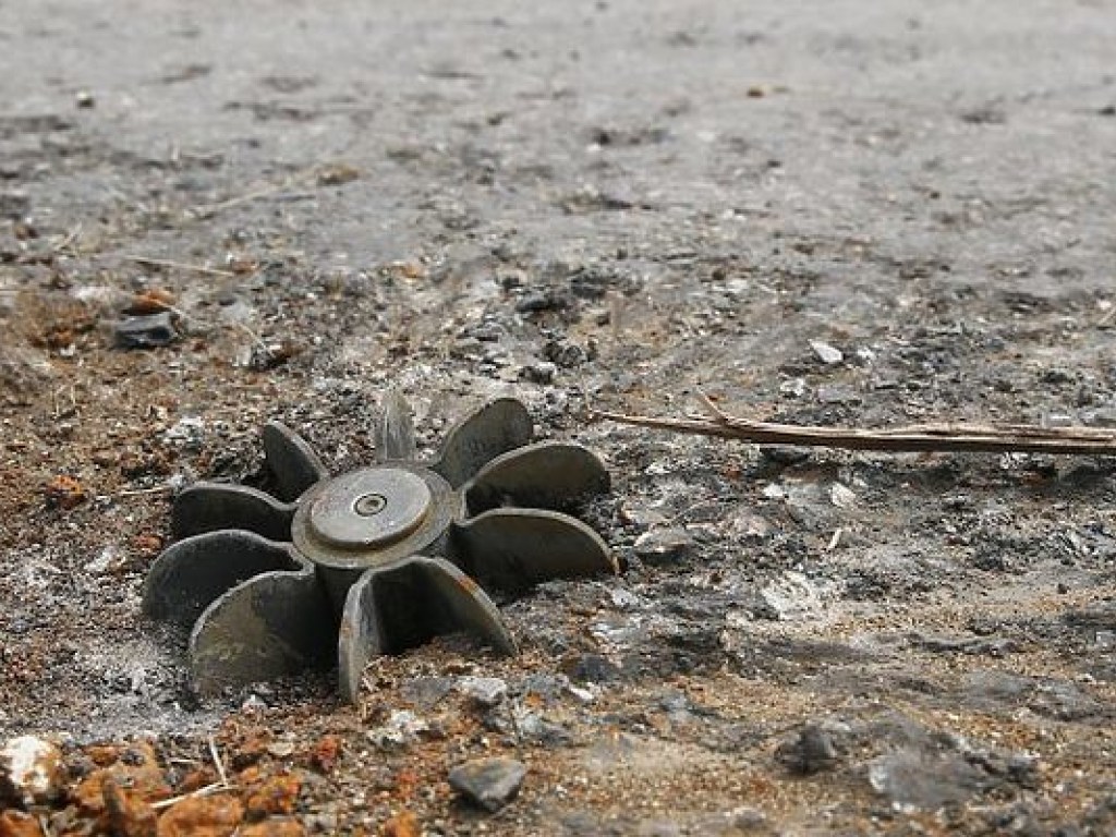 ООН: Украина первая в мире по погибшим из-за взрывов мин