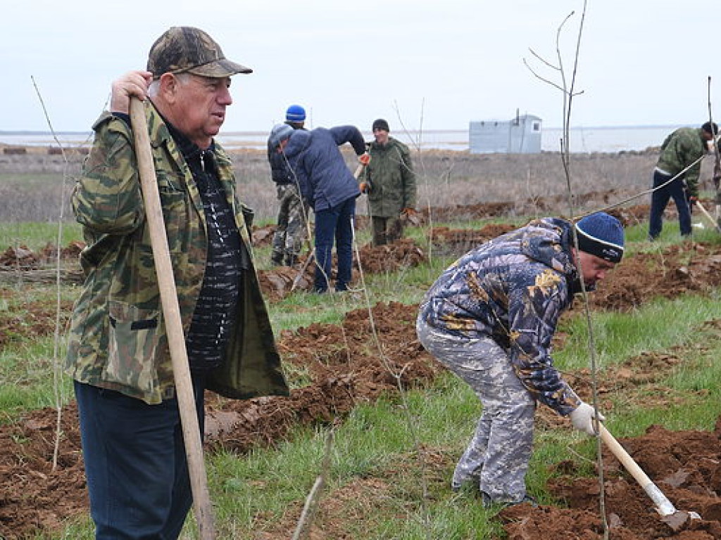 Эксперт: Доход украинского фермера упал в два раза