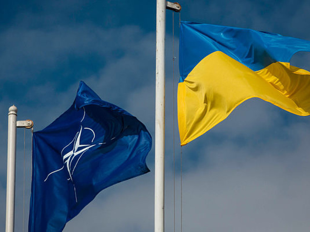 В НАТО прокомментировали планы Украины по референдуму о вступлении в Альянс
