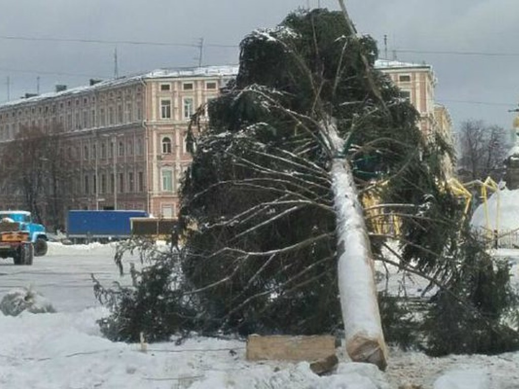 Главную новогоднюю елку сегодня  установят на Софийской площади