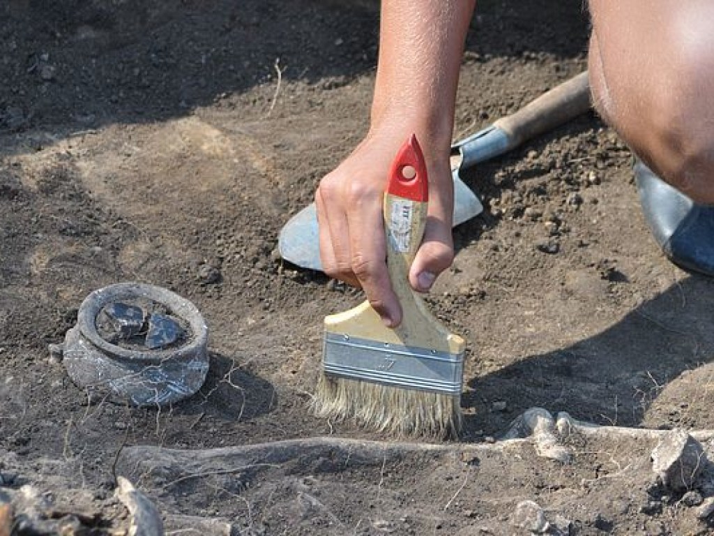 Археологи впервые нашли останки «уткозавра» (ФОТО)