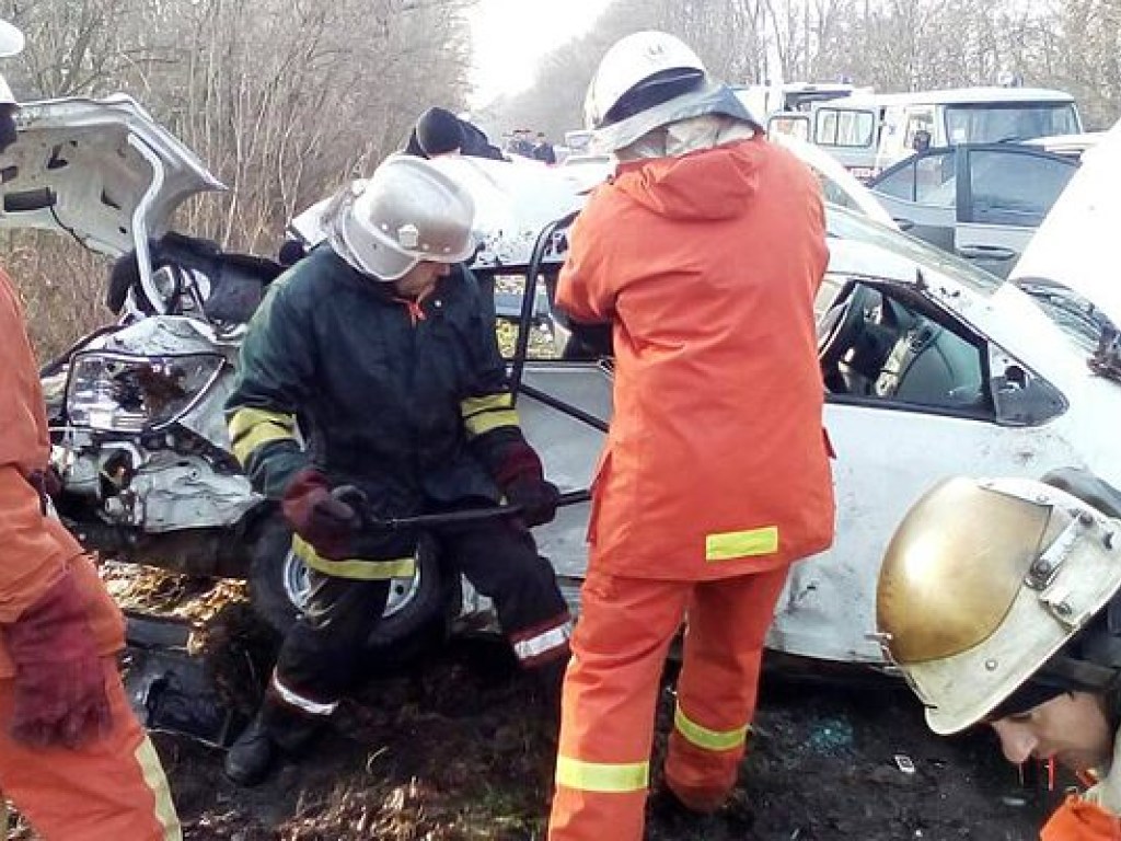На Житомирщине два человека погибли при лобовом столкновении Renault и Toyota (ФОТО)