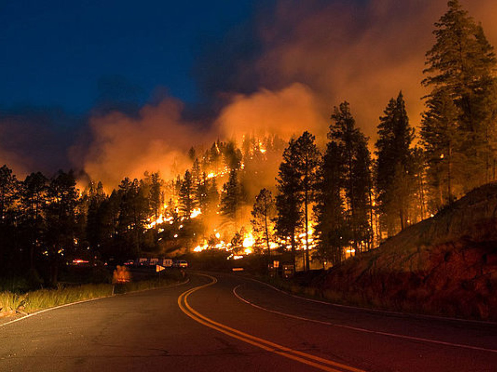 Из-за сильного ветра в Калифорнии лесной пожар &#171;Томас&#187; превосходит по площади размер Нью-Йорка