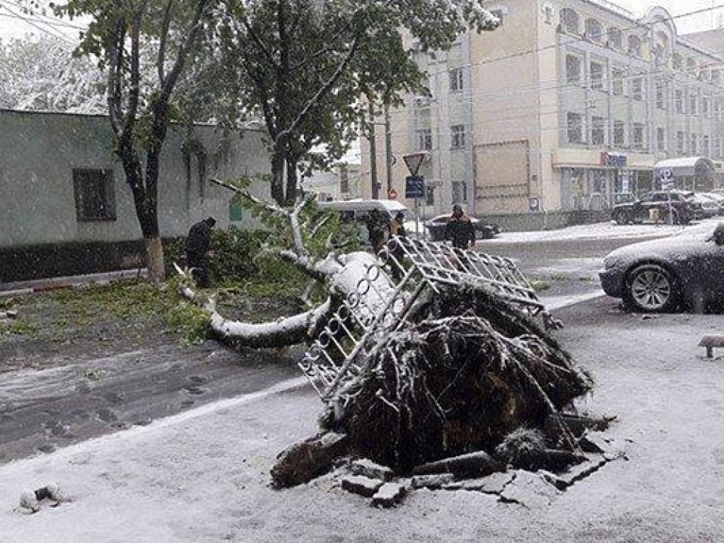 Из-за обильных снегопадов в Молдове погибли три и пострадали 30 человек